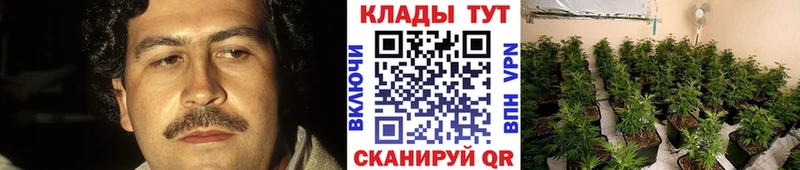 Виды наркоты Рубцовск ГАШ  МАРИХУАНА  КОКАИН  АМФ  МЕФ 