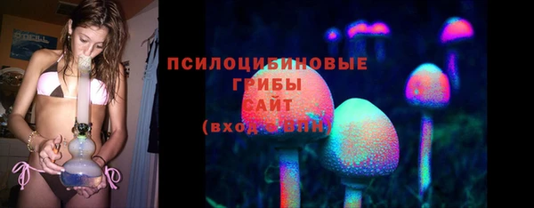 кокс Няндома