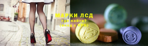 индика Цоци-Юрт