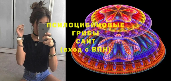 кокс Няндома