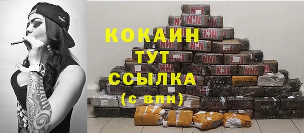 дживик Нягань