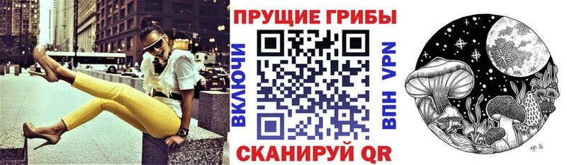 где продают   Рубцовск  Псилоцибиновые грибы Magic Shrooms 