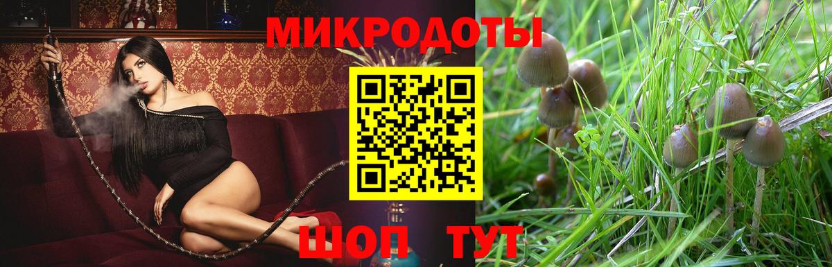 Галлюциногенные грибы ЛСД  Вход с VPN  Рубцовск 